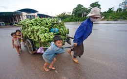 Phải “rửa gạo” trước