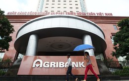 Nguyên phó giám đốc Argibank Bình Chánh lãnh 8 năm tù