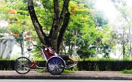 ​Giấc trưa trên phố