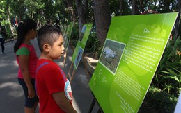 Nghe kể chuyện thiên nhiên bằng hình