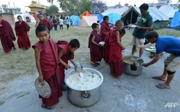 Gạo và đậu cứu trợ Nepal "không thích hợp cho người"