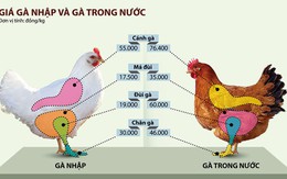 Gà Việt phát hoảng với đùi gà Mỹ chưa tới 20.000 đồng/kg