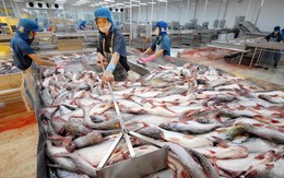 ​Thủy sản Việt Nam theo tiêu chuẩn EU ngay tại châu Á
