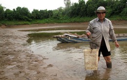 Nhiều sai phạm của chấp hành viên trong một vụ thi hành án