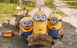 Minions bỏ túi hơn 115 triệu USD chỉ trong 3 ngày
