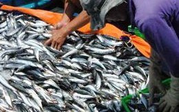 ​Ông Trời cũng nản