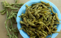 Những lựa chọn hàng đầu để thay thế đạm