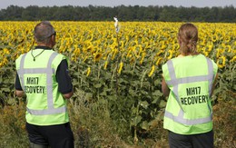 ​Hà Lan cáo buộc ly khai Ukraine bắn máy bay MH17