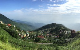 Lên rừng ăn "tiệc" nướng