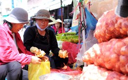 ​Hành tây Đà Lạt tăng giá mạnh