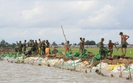 ​Lũ đầu nguồn sông Cửu Long lên nhanh và diễn biến phức tạp