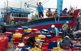 Bộ Nội vụ nói không với kiến nghị thành lập Bộ Hải sản