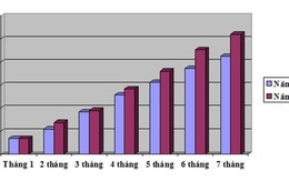 52.000 doanh nghiệp mới đưa vào nền kinh tế 15 tỉ USD