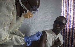 Vắcxin Ebola có kết quả sơ bộ khả quan