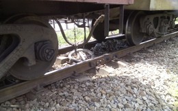 Người phụ nữ đi xe máy ngang đường ray bị tàu tông chết