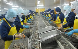 Nên miễn thuế nguyên liệu nhập để sản xuất  hàng hóa xuất khẩu