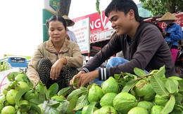 Cậu học trò nghèo vượt khó vào đại học để "trả ơn đời"