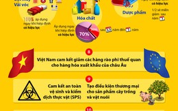 10 thỏa thuận thương mại quan trọng giữa Việt Nam và EU
