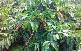 Dân phản đối kết luận thanh tra của Bộ NN -PTNT