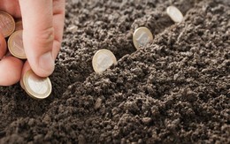TP.HCM miễn, giảm tiền thuê đất cho các cơ sở thực hiện xã hội hóa