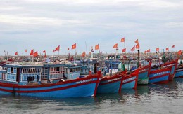 ​Đà Nẵng di dời tàu cá neo đậu dọc bờ sông Hàn