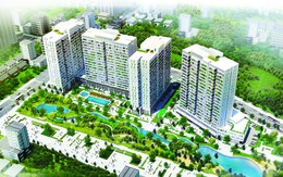 Citihome giới thiệu block C – block đẹp nhất