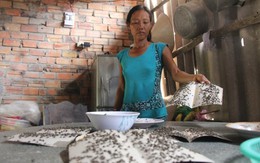 Dân khổ sở đánh vật với ruồi