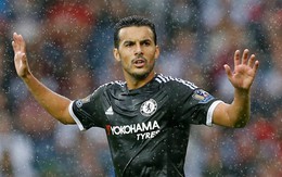 Điểm tin tối 24-8: Pedro: "Tôi sang Chelsea vì Mourinho"