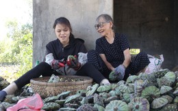 Bắt đầu từ những sẻ chia thầm lặng