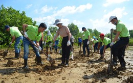 Trồng cây bảo vệ  môi trường