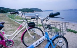 Khám phá đảo nghệ thuật Naoshima Nhật Bản