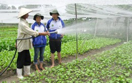 Thu hẹp khoảng cách giữa nội - ngoại thành