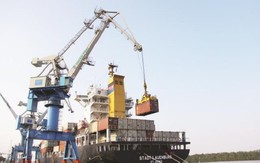 ​Gần 2.000 doanh nghiệp làm thủ tục 'một cửa' tại cảng biển