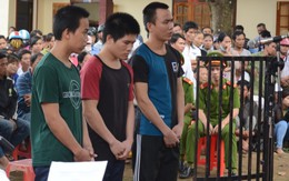Nhóm cắt trộm dây tiêu của nông dân lãnh án