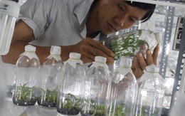 Nuôi thủy sản công nghệ cao