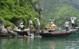 3.000 thanh niên chung sức bảo vệ Hạ Long