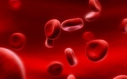 ​10 triệu người Việt mang gen bệnh tan máu bẩm sinh