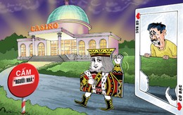8 sòng bài của VN thu 1.379 tỉ đồng năm 2014