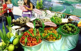 Hàng ngàn người đi hội chợ săn nước mắm lú, giống cây