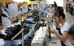 Chăn nuôi gặp nhiều khó khăn nhất khi TPP có hiệu lực