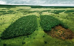 ​Các thành phố cần mạnh tay hơn để tiết kiệm "ngân sách carbon"