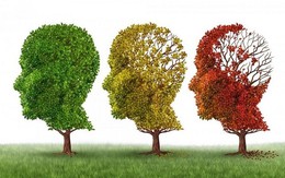 ​Protein có thể hỗ trợ phương pháp điều trị bệnh Alzheimer