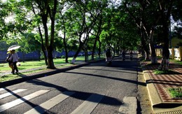 ​Yêu Huế từ những con đường