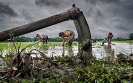 Việt Nam có 5 tác phẩm đoạt giải cuộc thi ảnh CGAP 2015