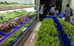 ​Kiểm tra chặt nhóm hàng có nguy cơ ảnh hưởng sức khỏe