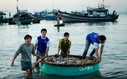 Nụ cười bội thu