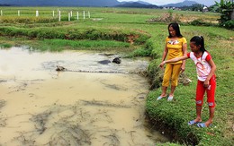 Nữ sinh 12 tuổi dũng cảm cứu hai em nhỏ thoát chết đuối