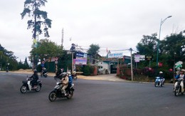 Dự án công viên Đà Lạt: Tắc 2 năm vì 2 hộ dân?