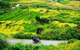 Giải pháp nào để thanh niên Tây Bắc phát triển kinh tế?