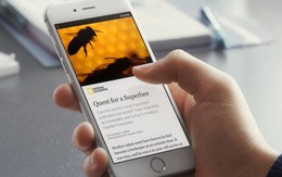 Tuổi Trẻ Online phối hợp Facebook triển khai Instant Articles